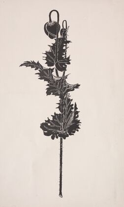 Flower Study (1860–1911)