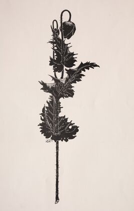 Flower Study (1860–1911)
