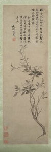 Flowering Crab Apple (1500)