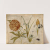 Flowers and Beetles by Hans Hoffmann