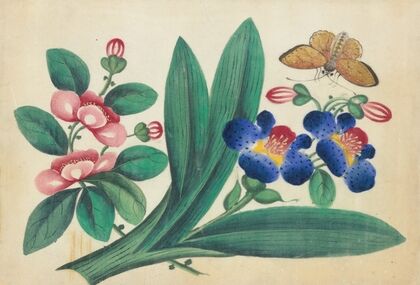 Flowers and butterfly (1800-1899)