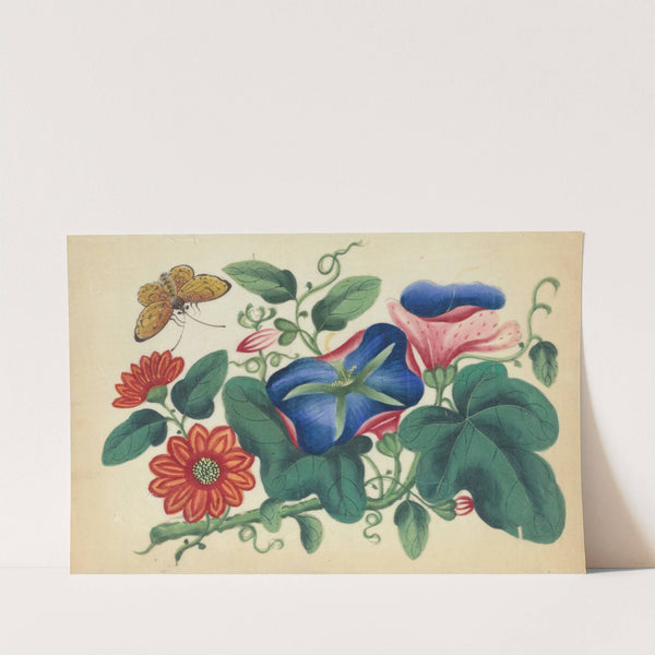 Flowers and butterfly. (1800-1899)