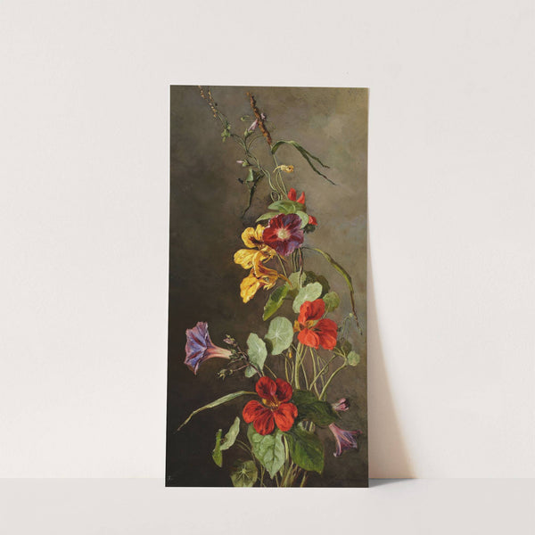 Flowers – Nasturtiums by Maria Klass-Kazanowska