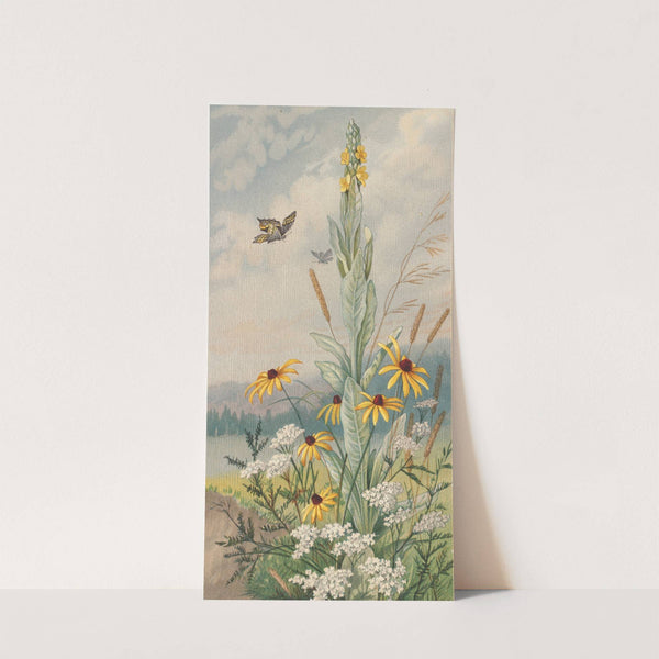 Flowers of the Meadow (ca. 1861–1897) by Louis Prang & Co.