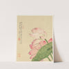 Flowers Pl.04 (19th Century) by Liang Yuwei