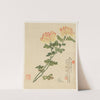 Flowers Pl.10 (19th Century) by Liang Yuwei
