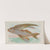 Flying Fish (1889) by Allen &amp; Ginter