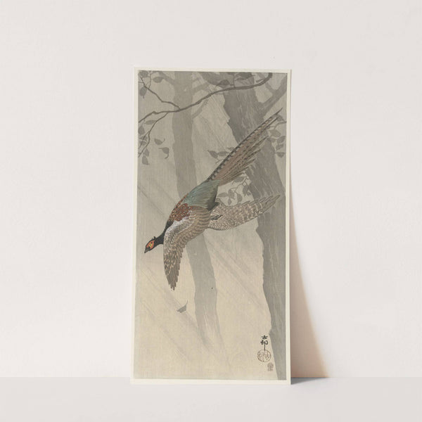 Flying pheasant by Ohara Koson