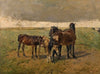 Foals in the Paddock