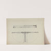 Folding Bed by Edward Jewett