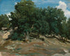 Fontainebleau; Oak Trees at Bas-Bréau