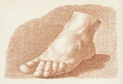 Foot Study