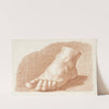 Foot Study (1760) by John Augustus Nahl