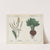 Forage or Field Plants (Rape, Ryegrass, Red-beet) by Charlotte Mary Yonge