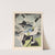 Force Comique by Francis Picabia