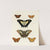 Foreign butterflies occurring in the three continents Asia, Africa and America Pl.028 (1779-1782) by Pieter Cramer
