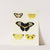 Foreign butterflies occurring in the three continents Asia, Africa and America Pl.036 (1779-1782) by Pieter Cramer