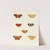 Foreign butterflies occurring in the three continents Asia, Africa and America Pl.045 (1779-1782) by Pieter Cramer