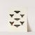 Foreign butterflies occurring in the three continents Asia, Africa and America Pl.067 (1779-1782) by Pieter Cramer