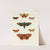 Foreign butterflies occurring in the three continents Asia, Africa and America Pl.075 (1779-1782) by Pieter Cramer