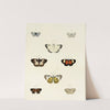 Foreign butterflies occurring in the three continents Asia, Africa and America Pl.077 (1779-1782) by Pieter Cramer