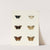 Foreign butterflies occurring in the three continents Asia, Africa and America Pl.097 (1779-1782) by Pieter Cramer