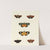 Foreign butterflies occurring in the three continents Asia, Africa and America Pl.129 (1779-1782) by Pieter Cramer