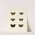 Foreign butterflies occurring in the three continents Asia, Africa and America Pl.132 (1779-1782) by Pieter Cramer