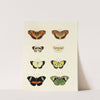 Foreign butterflies occurring in the three continents Asia, Africa and America Pl.144 (1779-1782) by Pieter Cramer