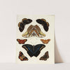Foreign butterflies occurring in the three continents Asia, Africa and America Pl.194 (1779-1782) by Pieter Cramer