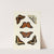 Foreign butterflies occurring in the three continents Asia, Africa and America Pl.250 (1779-1782) by Pieter Cramer