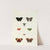 Foreign butterflies occurring in the three continents Asia, Africa and America Pl.295 (1779-1782) by Pieter Cramer