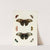 Foreign butterflies occurring in the three continents Asia, Africa and America Pl.297 (1779-1782) by Pieter Cramer