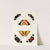 Foreign butterflies occurring in the three continents Asia, Africa and America Pl.301 (1779-1782) by Pieter Cramer