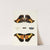 Foreign butterflies occurring in the three continents Asia, Africa and America Pl.303 (1779-1782) by Pieter Cramer