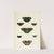 Foreign butterflies occurring in the three continents Asia, Africa and America Pl.403 (1779-1782) by Pieter Cramer