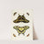 Foreign butterflies occurring in the three continents Asia, Africa and America Pl.412 (1779-1782) by Pieter Cramer