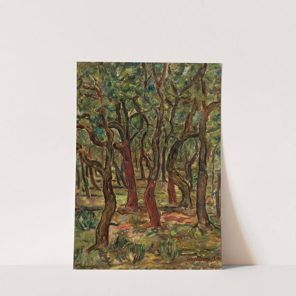 Forest (1934 - 1936) by Tytus Czyżewski