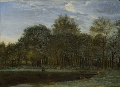 Forest Clearing with Grazing Deer