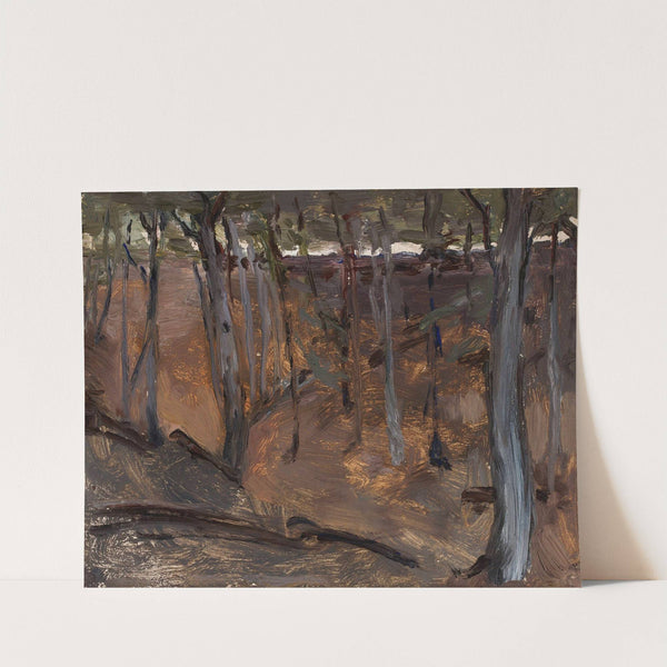 Forest – Finland (1903) by Jan Ciągliński