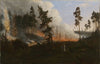 Forest fire