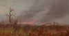 Forest Fire (circa 1870-80)