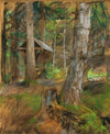 Forest floor and manger