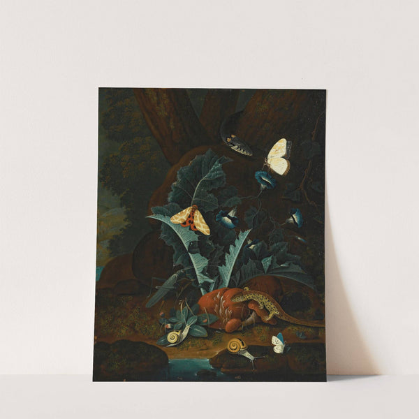 Forest Floor Still Life With Snails, A Lizard, A Grasshopper, Moths And A Snake by Johann Falch