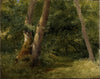 Forest interior