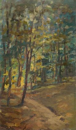 Forest Interior
