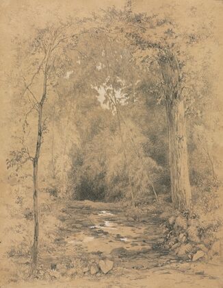 Forest Interior (c. 1870)