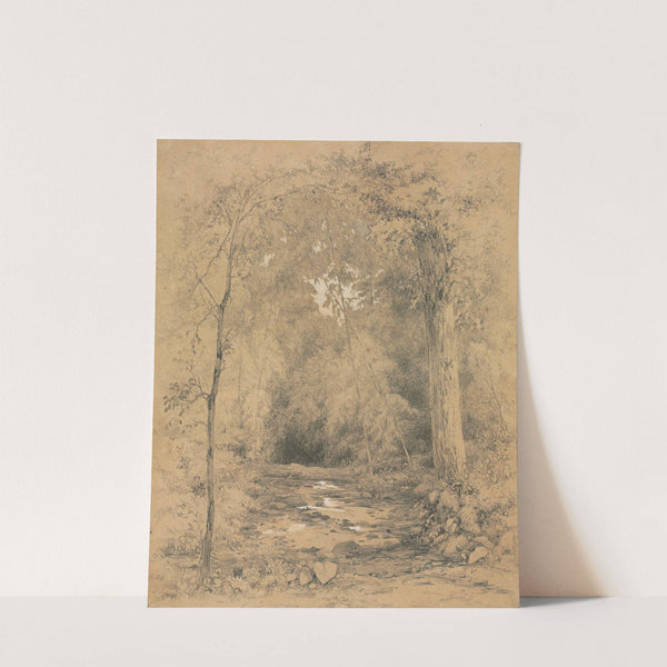 Forest Interior (c. 1870) by John Henry Hill