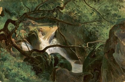 Forest Interior with a Waterfall