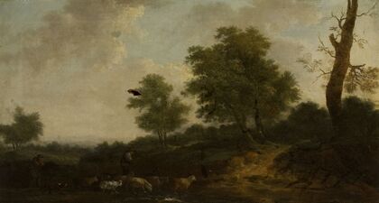 Forest landscape